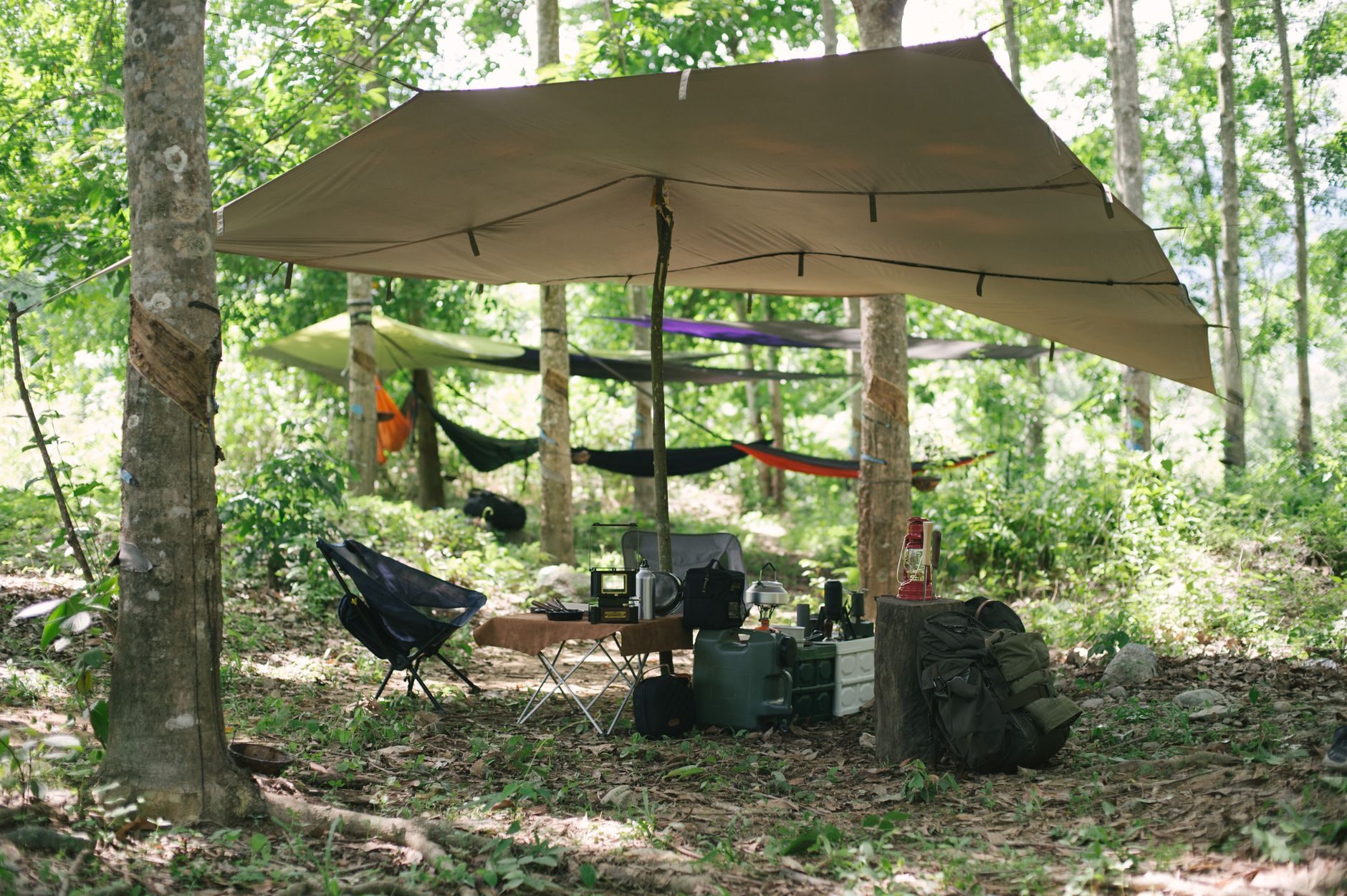 Hammock campsite under a tarp in lush green Southern woodland